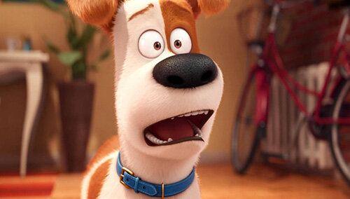 《爱宠大机密》片段:心机狗杜克与麦克斯见面互怼 麦克斯完败