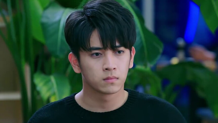 第七季凭栏一片风云起向往的生活 第六季一夜新娘 第二季初入职场的