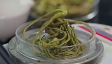 香椿久放会产生亚硝酸盐？