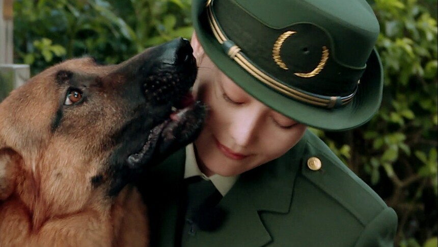 奇兵神犬-综艺-高清视频在线观看-芒果tv