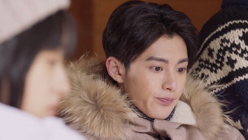 u0 节目简介流星花园导演:柴智屏 / 林合隆主演:沈月 / 王鹤棣