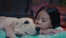 萌犬守约漫漫回家路