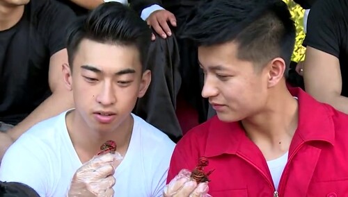 摇啊笑啊桥-综艺-高清视频在线观看-芒果tv