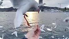 白宇变身搞笑博主