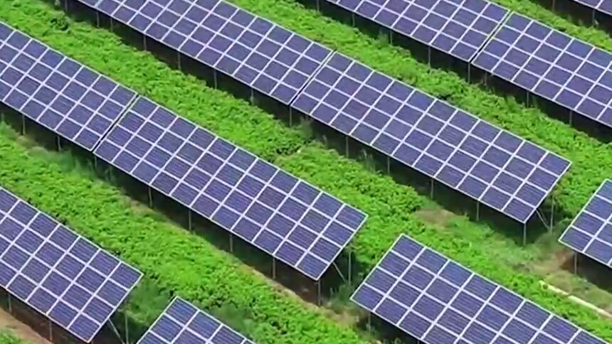 看美丽乡村庆70华诞丨河北省衡水市枣强县枣强镇八里庄村