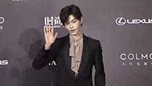 丁禹兮红毯动作太丰富！