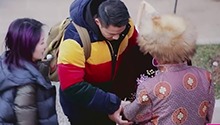 千嬅丁子高为老人补拍结婚照
