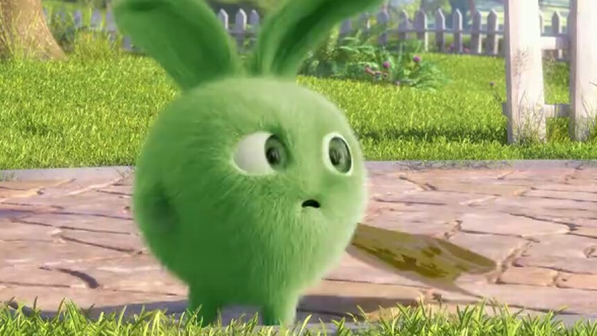 阳光小兔兔 第四季-动漫-高清视频在线观看-芒果tv