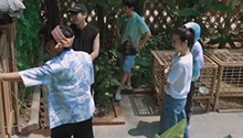  彭昱畅要给薇娅最低折扣