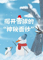 揭开雪球的“神秘面纱”