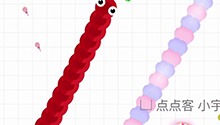 小魔姐才不怕大蛇