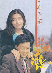 过把瘾