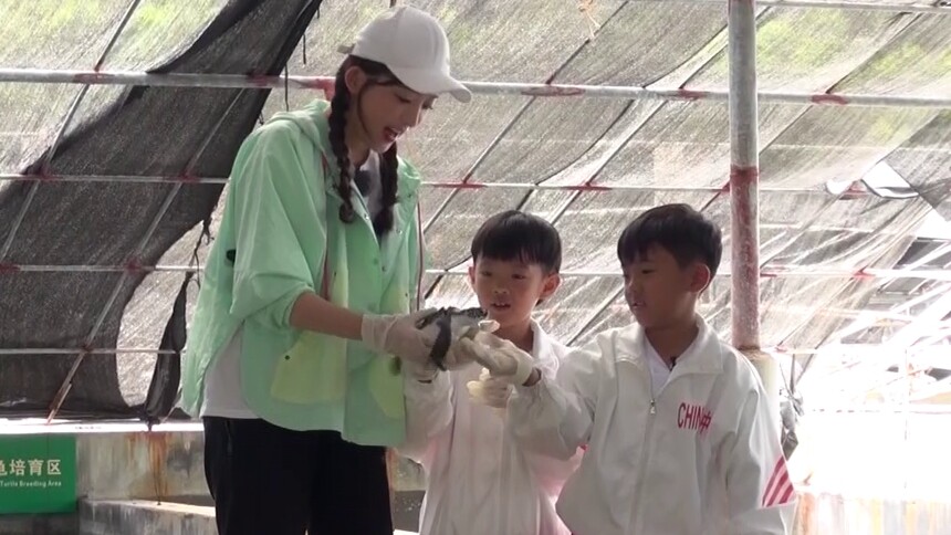 童趣大冒险20211114期:探秘鹰嘴巨兽-动漫-高清视频在线观看-芒果tv