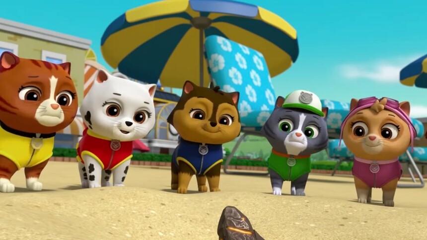 《汪汪队立大功之超能救援》热播中:双胞胎艾拉,塔可初登场!