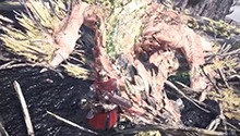 无休止的战斗