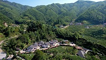 老区不老