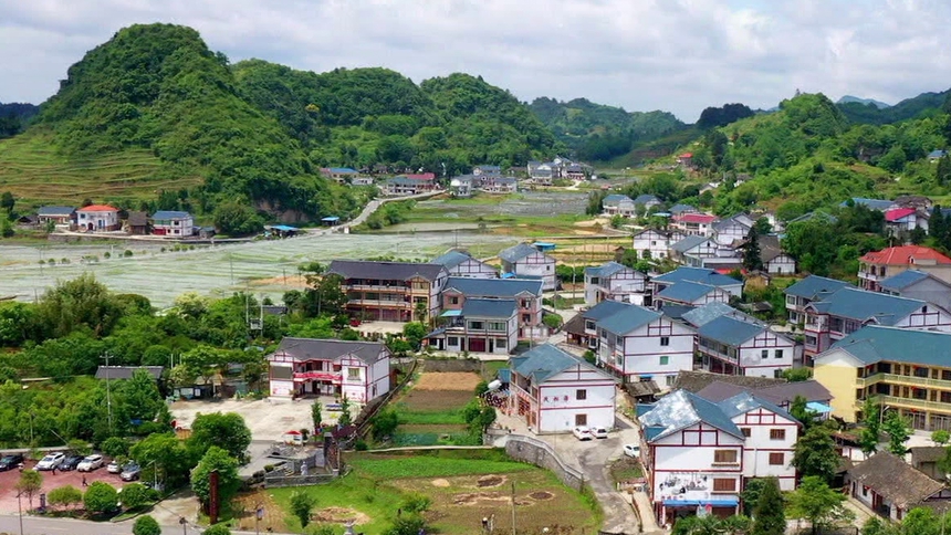 大地锦绣 第6集：枫香花茂又一村