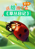草丛日记 第一季