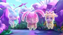 星缘纪念礼