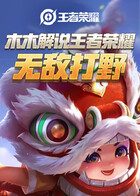 木木解说王者荣耀 无敌打野