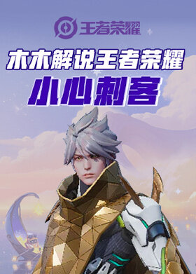 木木解说王者荣耀 小心刺客