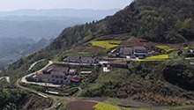 童乐园