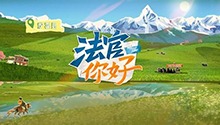 雪域高原上的“正义雪莲”