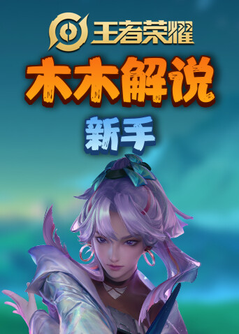 木木解说王者荣耀 新手