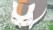 猫老师料事如神 一看就觉得这个宅子不简单