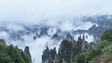 240小时免签新政 入境游热度大涨
