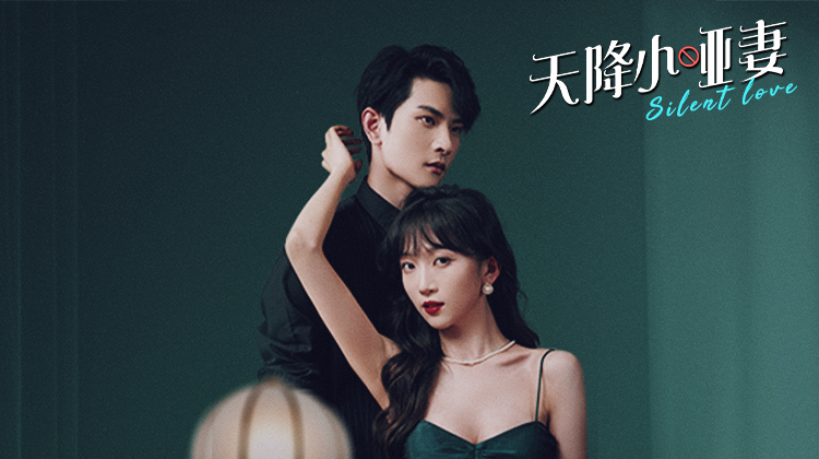 天降小哑妻