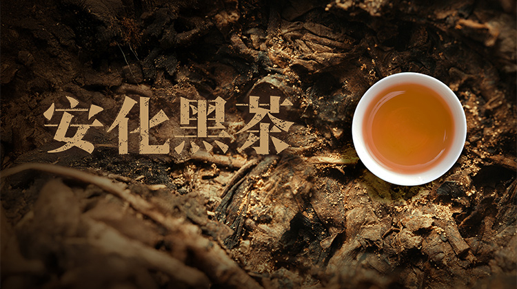 安化黑茶