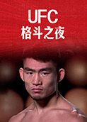 UFC格斗之夜