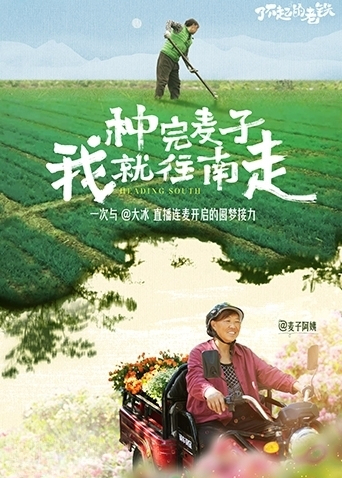 种完麦子我就往南走