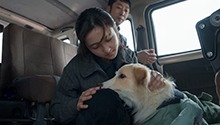 赵小满决定停止治疗让小意开心生活