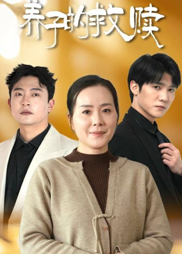 养子的救赎封面图