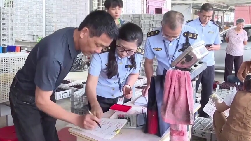 福建龙海：加强检测，严管问题杨梅