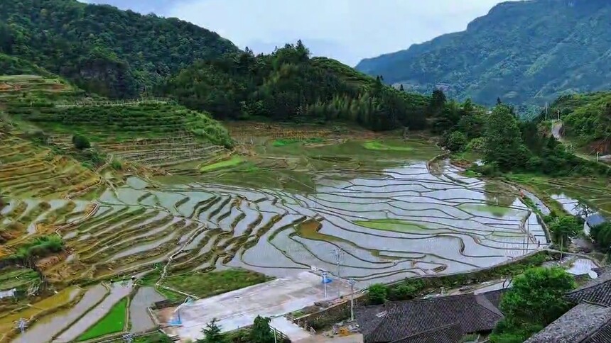 瞰中国｜广西龙胜：雨霁梯田润 人在画中耕