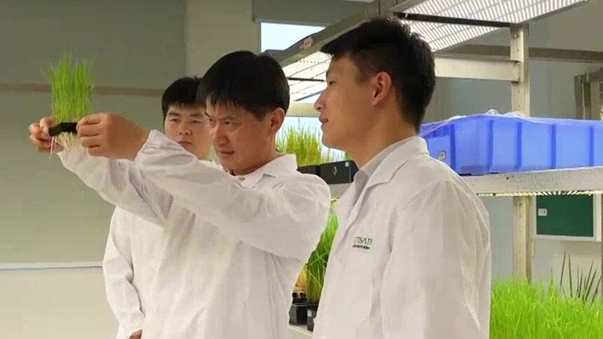 湖南20项科技成果获奖 农业领域拿下5项大奖