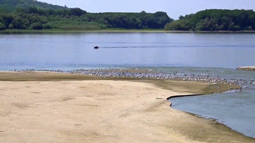 罗马尼亚：多瑙河水流量持续走低