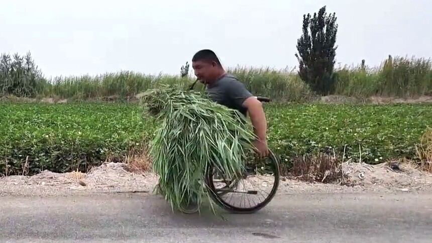 “轮椅上的劳模”艾合买提·吾甫尔