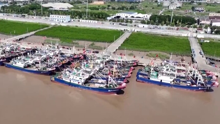 我国四大海域今天全面开渔·浙江温州 千帆竞发开启金秋捕捞