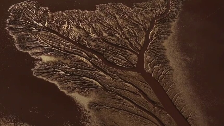 秀我中国｜西藏阿里：“大地之树”美如画