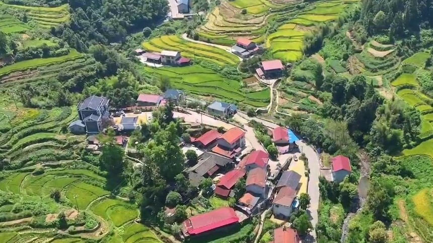 金秋稻熟满三湘 梯田稻海皆丰景