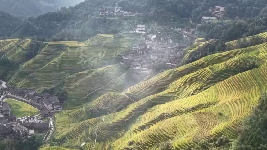 广西龙胜：三千跑者“打卡”金秋龙脊